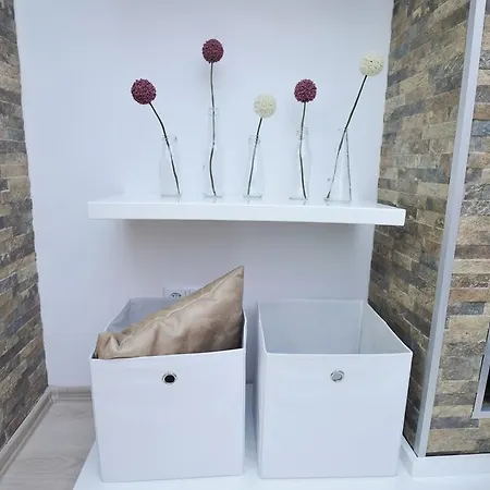 Apartman Delfin